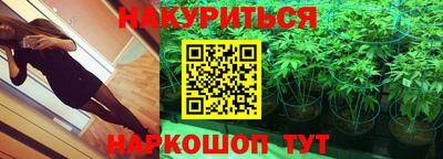 гидра Тула