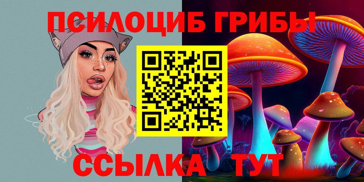 Галлюциногенные грибы прущие грибы  Вход с VPN  Галлюциногенные грибы GOLDEN TEACHER  Мценск 