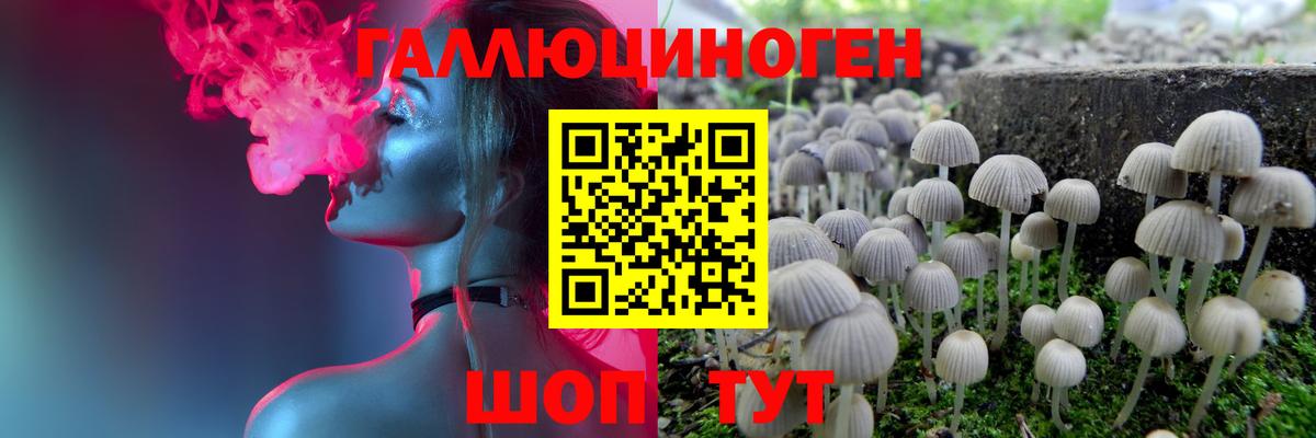 Псилоцибиновые грибы Cubensis Мценск